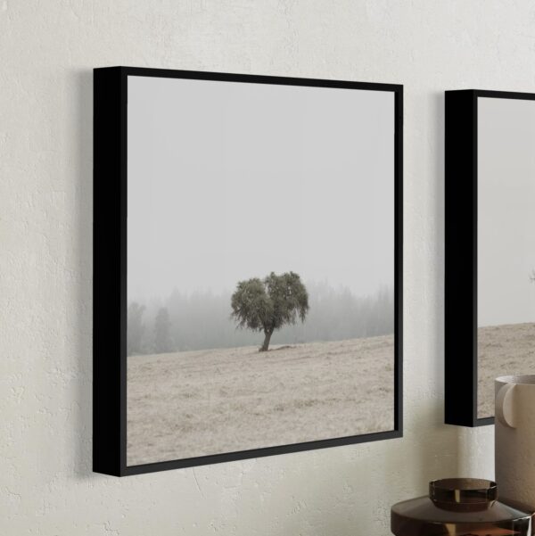 Marco Aluminio Velvia + Tu Foto