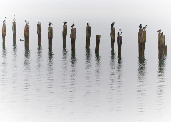 Muelle I