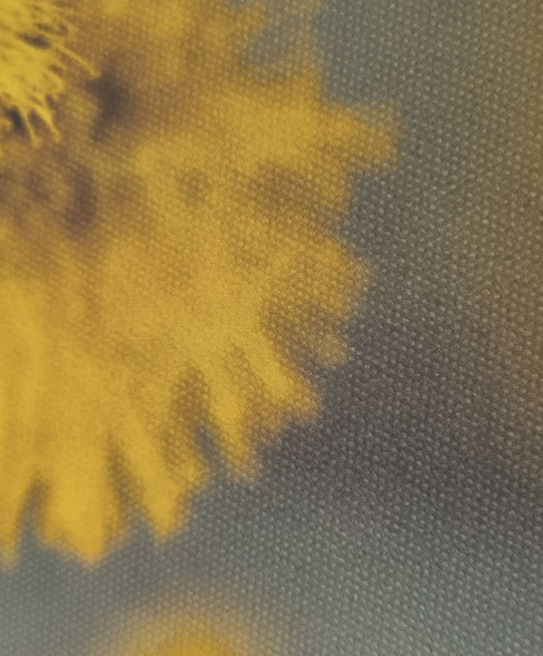 canvas fineart 824 x 1017