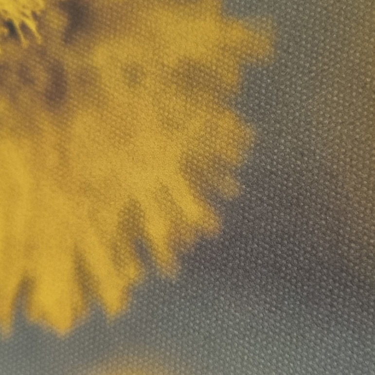 canvas fineart cuadrada